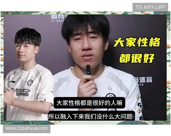 赛后分析:TES与IG在团队协作中的优劣势对比与启示