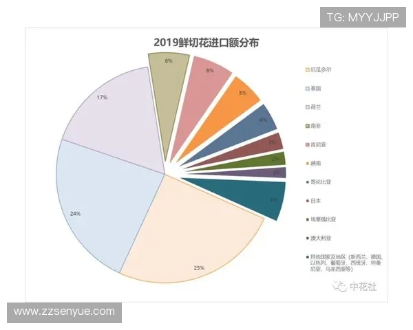 独家分析:上海网球队的实力对比